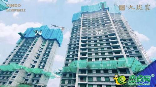 9号楼施工进度最新爆料,最新爆料展现工程新进展